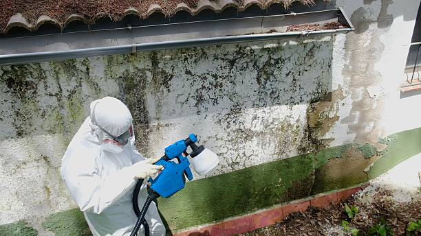 Trusted Mold Removal service in Franklin, GA - Cheap Mold Removal